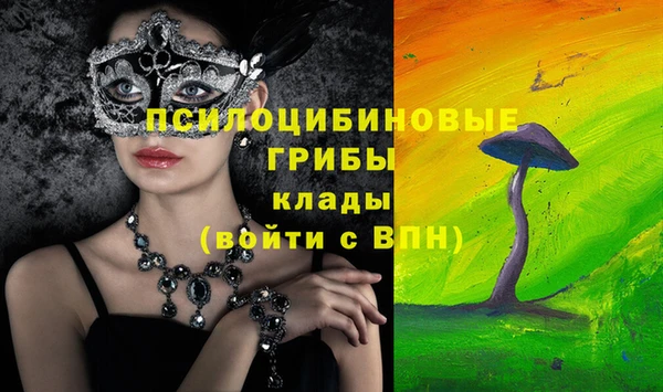 метадон Няндома