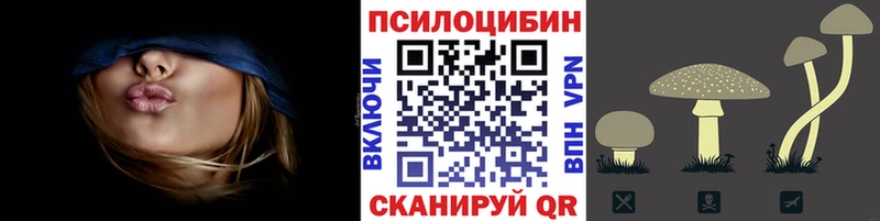 Псилоцибиновые грибы мицелий  Ельня 